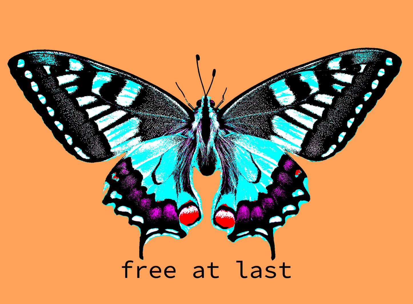 Tie Dye Butterfly